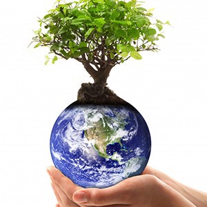 Environmental Protection Industry3